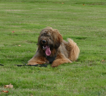 FamilientreffenTWurf17