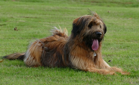 FamilientreffenTWurf18