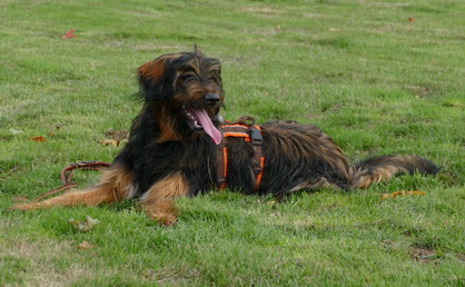 FamilientreffenTWurf19