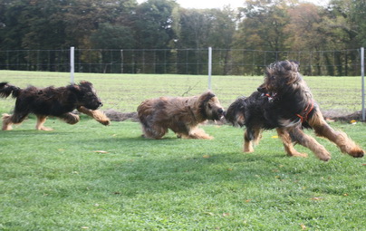 FamilientreffenTWurf2