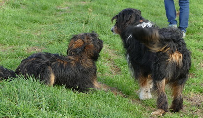 FamilientreffenTWurf21