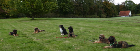 FamilientreffenTWurf23