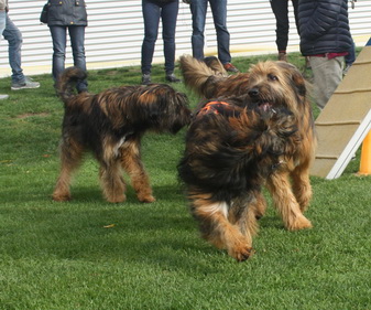 FamilientreffenTWurf3