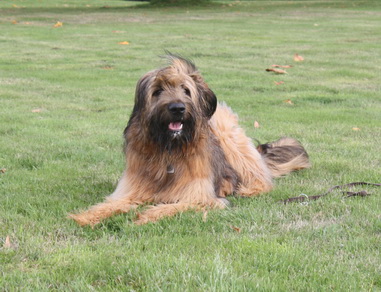 FamilientreffenTWurf5