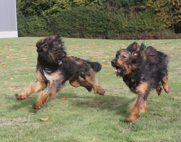 FamilientreffenTWurf6