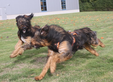 FamilientreffenTWurf7