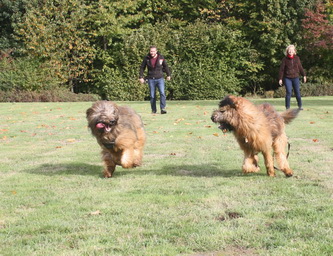 FamilientreffenTWurf8