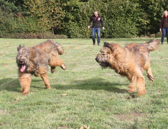 FamilientreffenTWurf9