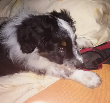 QuebraderoOskar0 QuebraderoOskar0