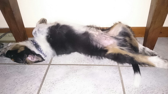 QuebraderoOskar1 QuebraderoOskar1