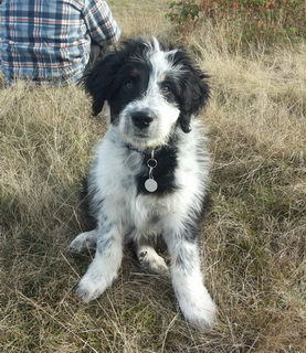 QuebraderoOskar2 QuebraderoOskar2