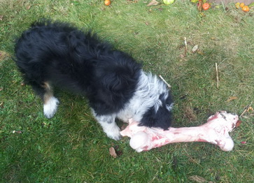 QuebraderoOskar3 QuebraderoOskar3