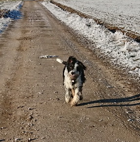 QuebraderoOskar4 QuebraderoOskar4