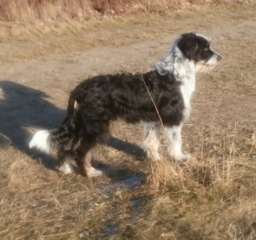 QuebraderoOskar5 QuebraderoOskar5