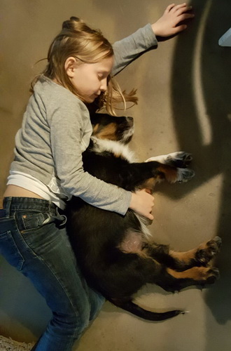 QueridoThorvi0 QueridoThorvi0