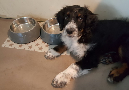 QueridoThorvi2 QueridoThorvi2