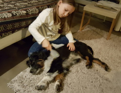 QueridoThorvi3 QueridoThorvi3