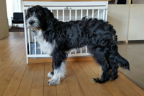 QueridoThorvi4 QueridoThorvi4