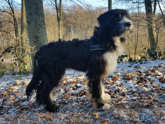 QueridoThorvi6 QueridoThorvi6