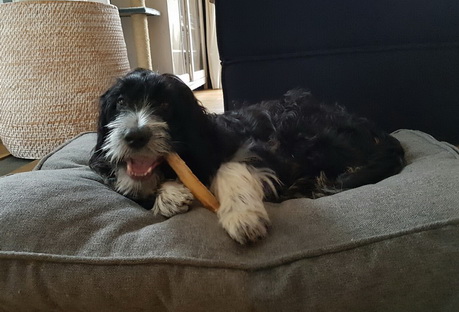 QueridoThorvi7 QueridoThorvi7