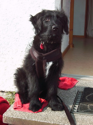 RegenbogenGilda-Nelly0