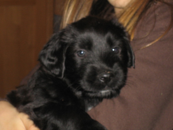 RegenbogenGilda-Nelly2