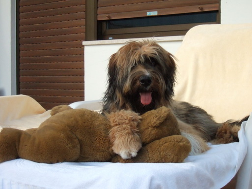 RegenbogenGuiseppe-Sam0