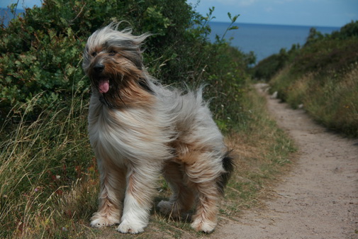 RegenbogenGuiseppe-Sam1