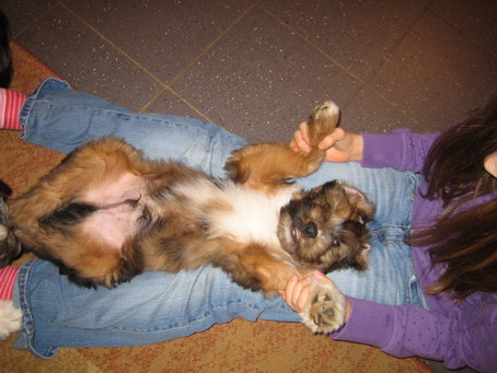 RegenbogenGuiseppe-Sam2