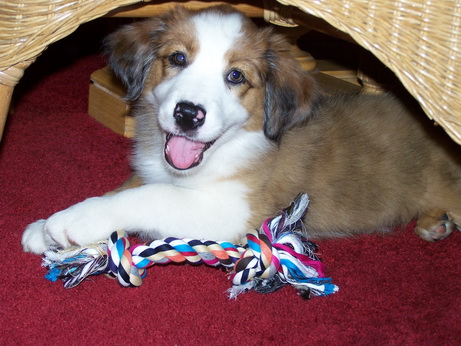 RegenbogenKeira-Meggie0