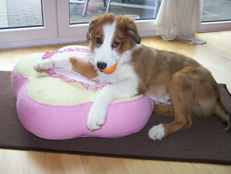 RegenbogenKeira-Meggie1