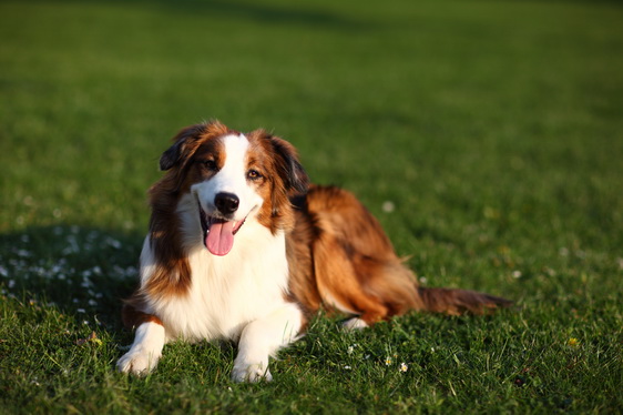 RegenbogenKeira-Meggie2