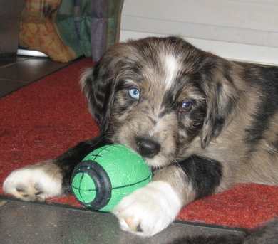 RegenbogenbrckeGretaLotta0