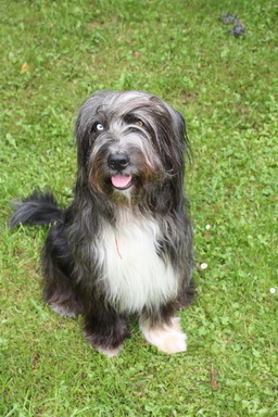 RegenbogenbrckeGretaLotta1