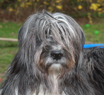 RegenbogenbrckeGretaLotta2