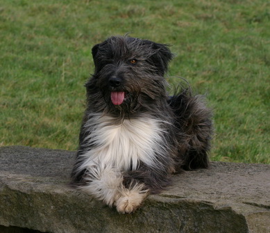 RegenbogenbrckeJule0