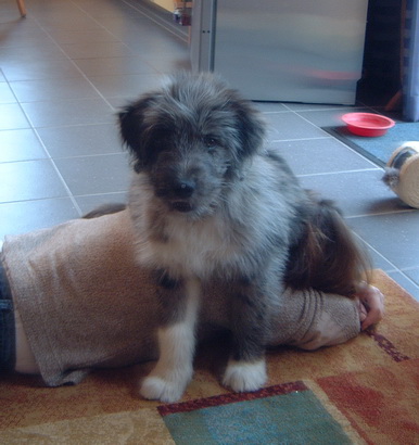 RegenbogenbrckeJule07