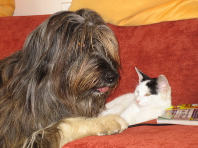 RegenbogenbrckeJule1