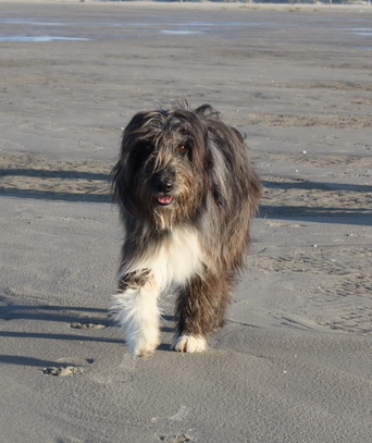 RegenbogenbrckeJule3