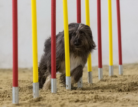 RegenbogenbrckeJule4