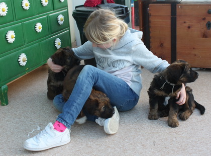 T-Wurf070313 T-Wurf070313