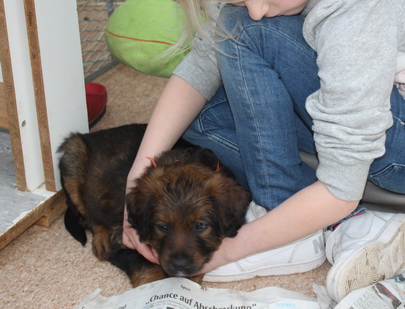 T-Wurf070317 T-Wurf070317