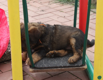 T-Wurf07033 T-Wurf07033