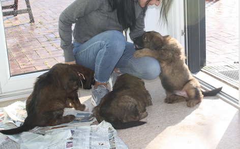 T-Wurf07039 T-Wurf07039