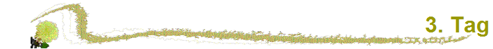 3. Tag
