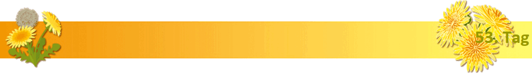 53. Tag