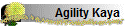 Agility Kaya