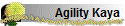 Agility Kaya