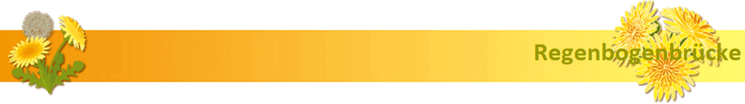 Regenbogenbrcke