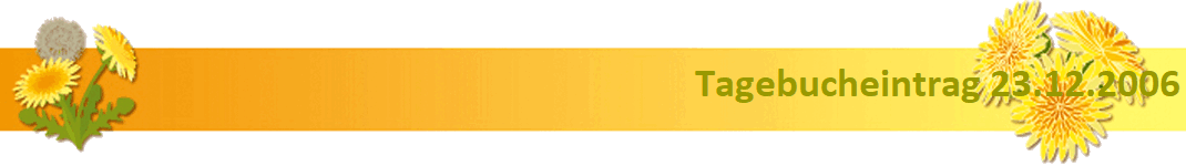 Tagebucheintrag 23.12.2006